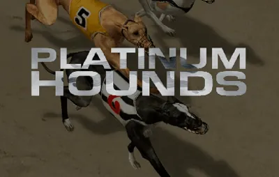 Platinum Hounds